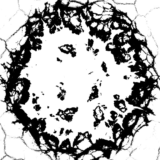 Reflective Occlusion Map