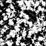 Ink Blot