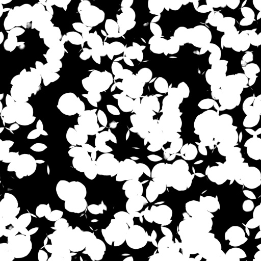 Variation 7