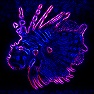Techno Neon Invert
