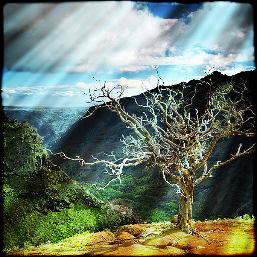 Variation 1