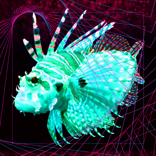 Variation 1