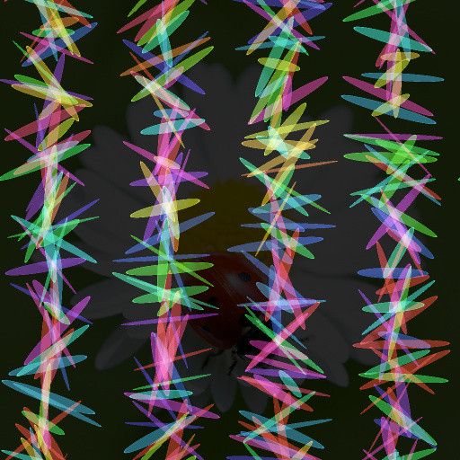 Variation 8