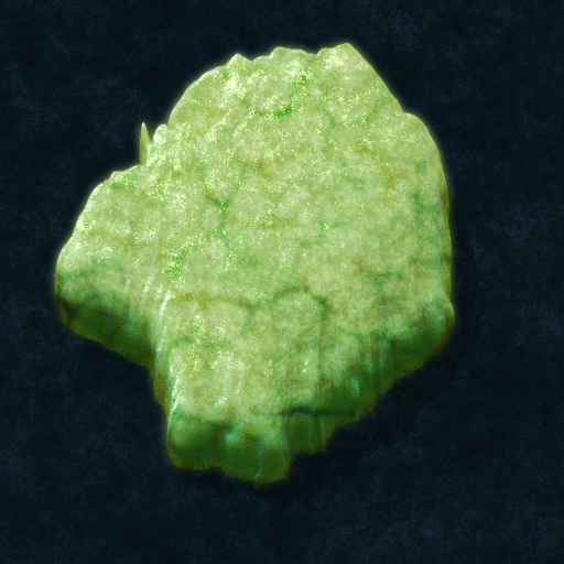 Variation 7