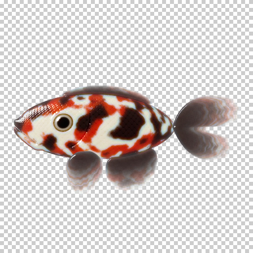 Variation 5