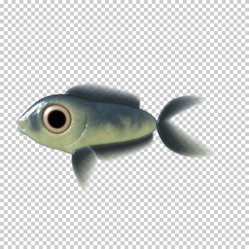 Variation 6