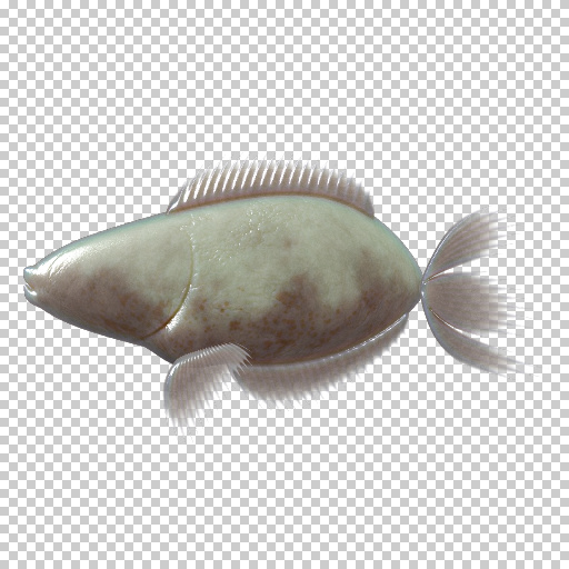 Variation 8