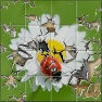 Busted Tiles Double Image V2