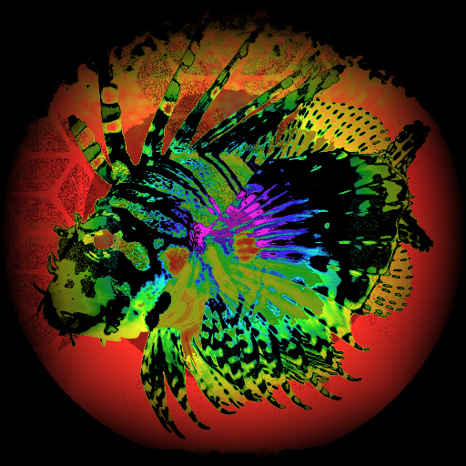 Variation 5