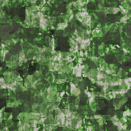 Variation 8