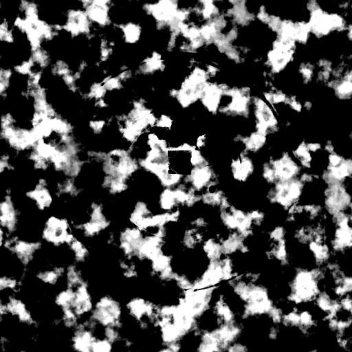 Bump Map