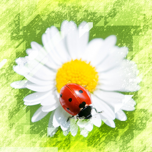 Variation 2