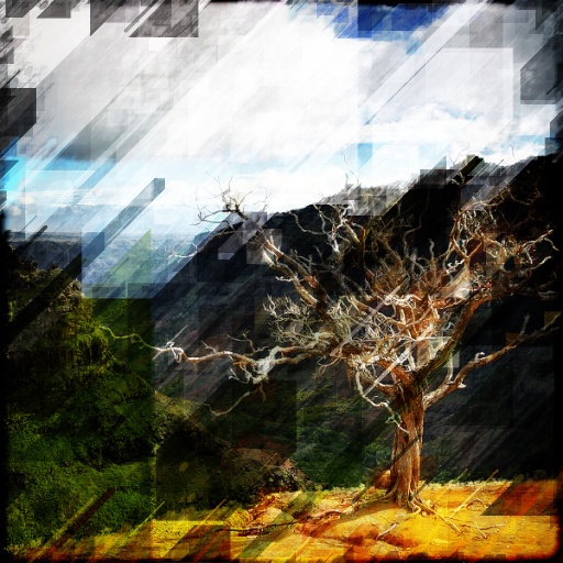 Variation 4