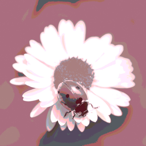 Variation 3
