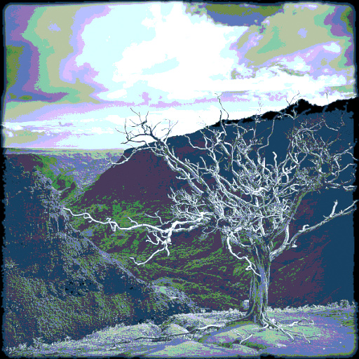 Variation 7