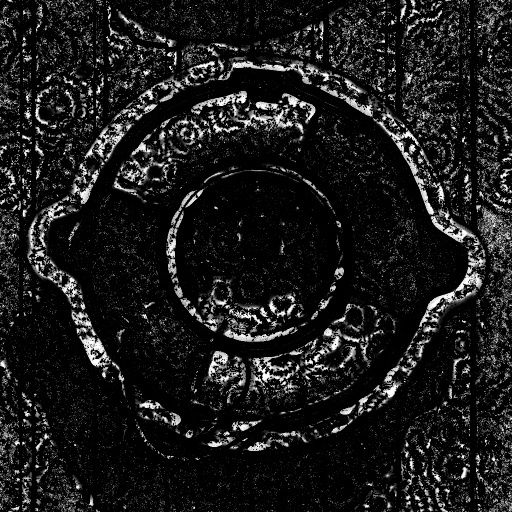 Reflective Occlusion Map