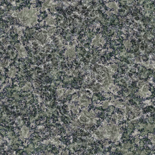 Variation 4
