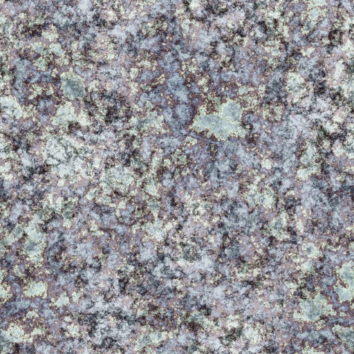 Variation 6