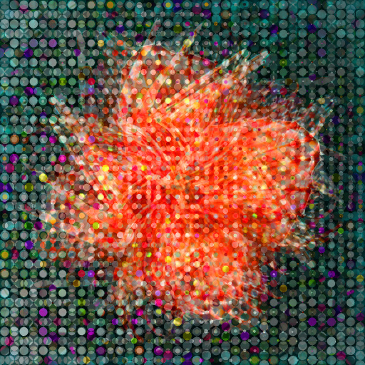 Variation 6