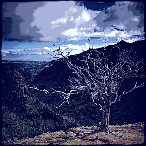 Variation 3