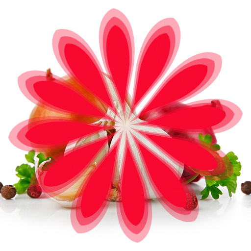 GF Circular Floral Graphics v3 (Effect)