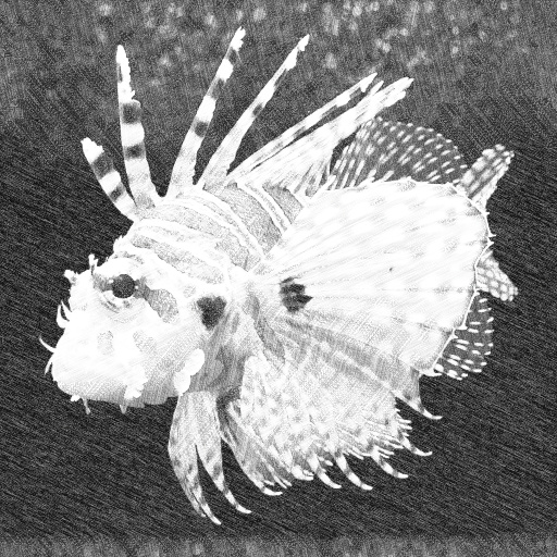 Variation 6