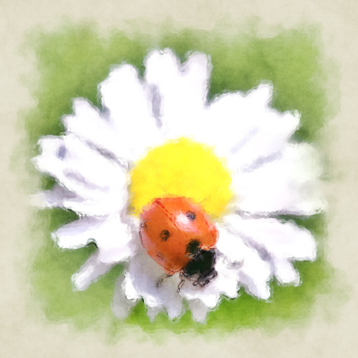 Variation 1