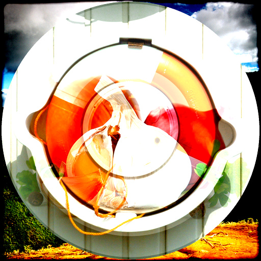 Variation 7