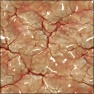 Biologic I