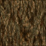 Bark