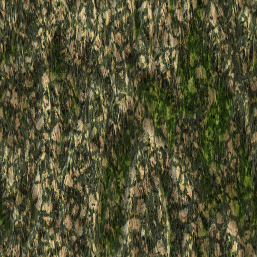 Variation 1