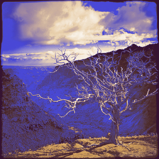 Variation 2