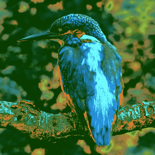 Variation 6