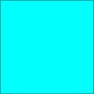 Flouresecnece Image Merger-Blue Green