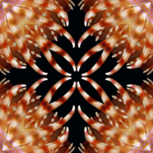 Variation 6