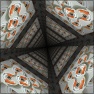 box wild perspective --the lizard scale