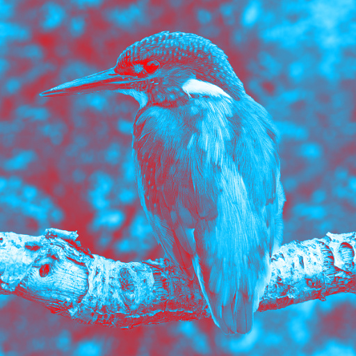 Variation 5