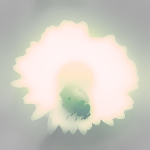 Variation 4