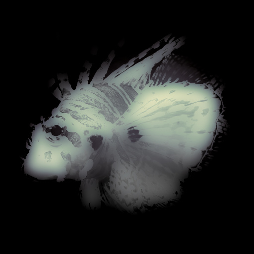 Variation 5
