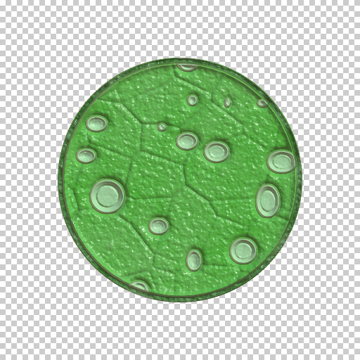 Variation 2