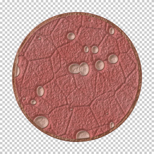 Variation 6