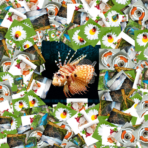 Variation 5