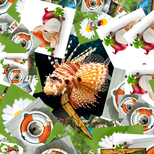 Variation 7