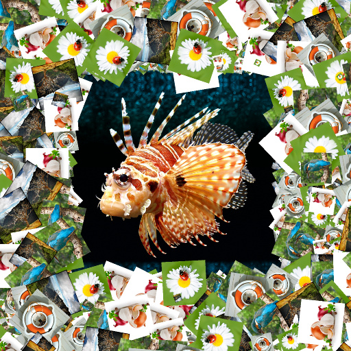 Variation 8