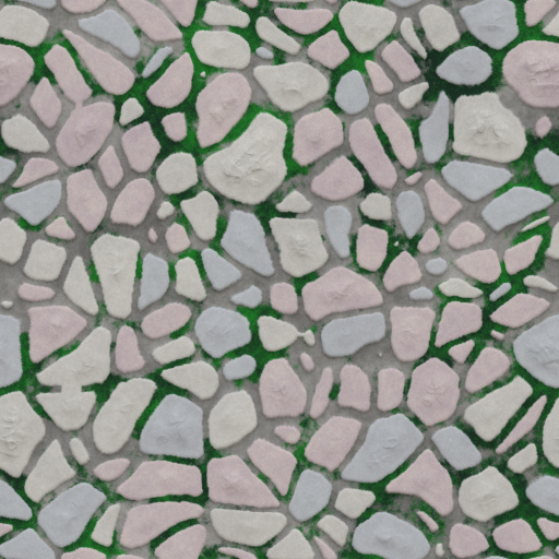 Variation 1