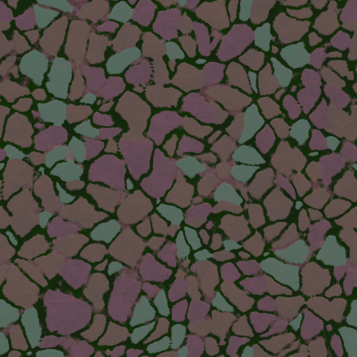 Variation 2