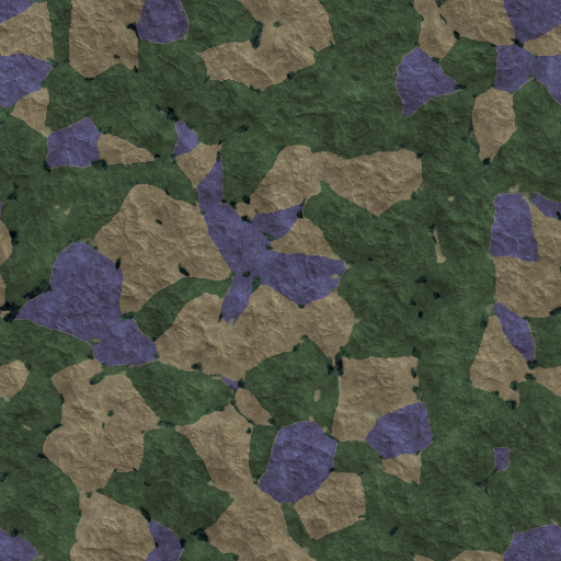 Variation 5