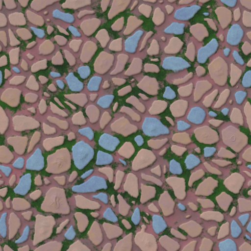 Variation 6