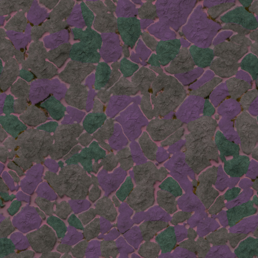 Variation 7