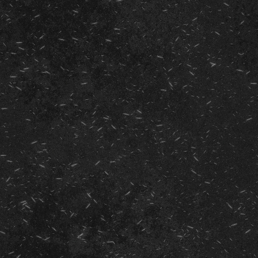 Variation 3